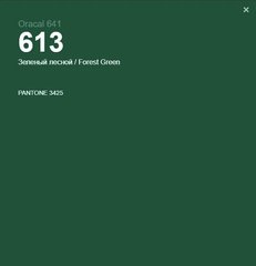 Пленка оракал Oracal 641 (33*100см) зелёный лесной (613)