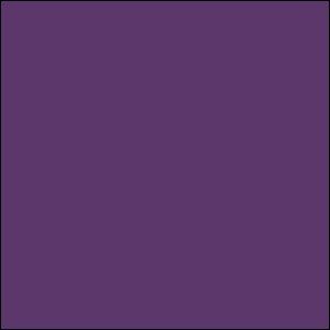 Пленка оракал Oracal 641 (33см*100см) Фиолетовый (040)